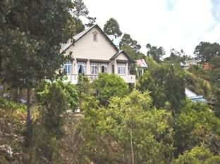 Dalat Jungle View Homestay