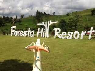 Foresta Hill Resort